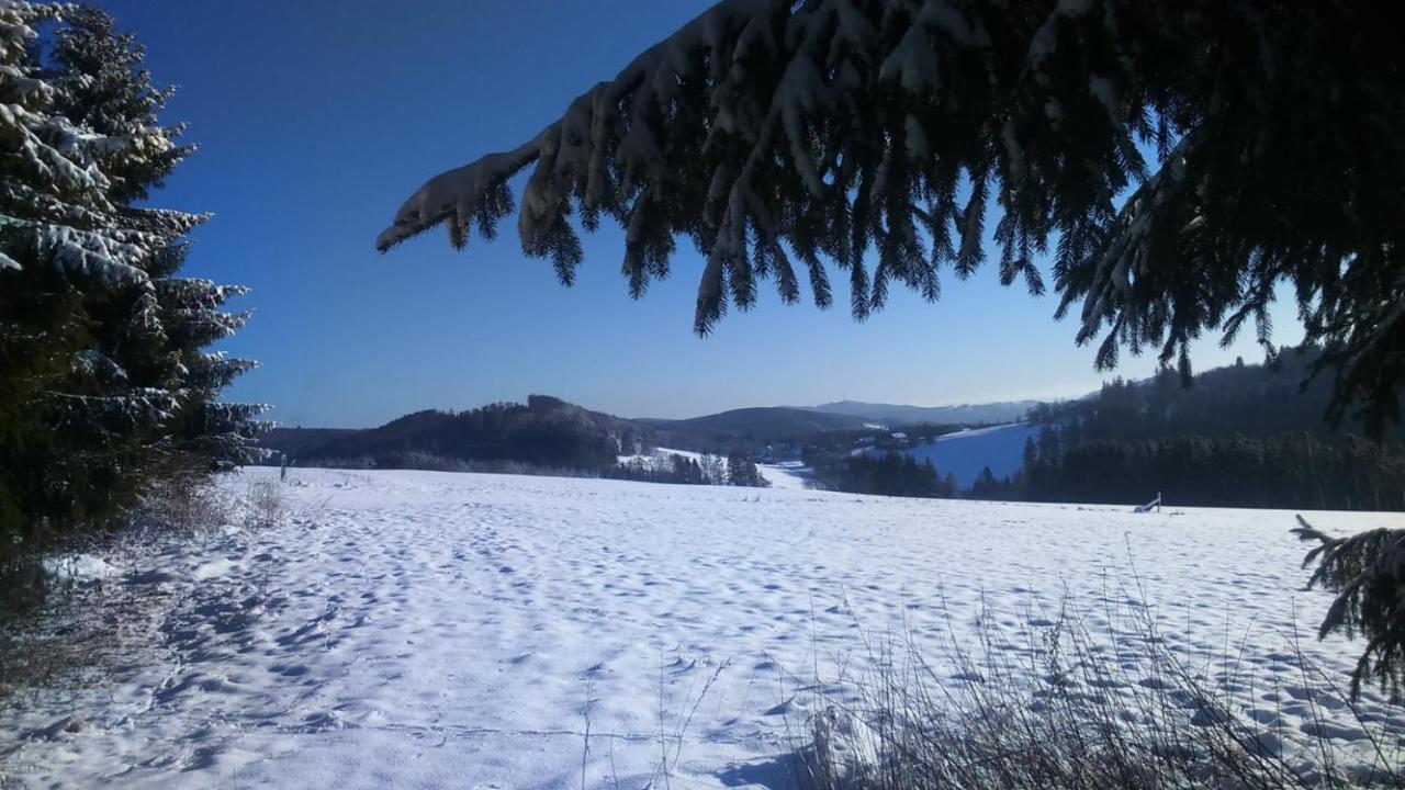 B&B All Seasons Winterberg Exteriör bild