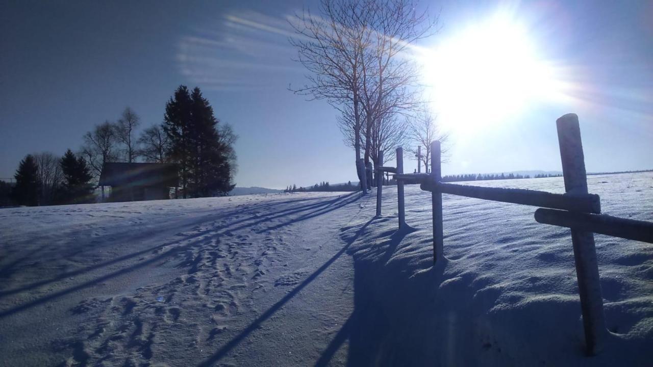 B&B All Seasons Winterberg Exteriör bild