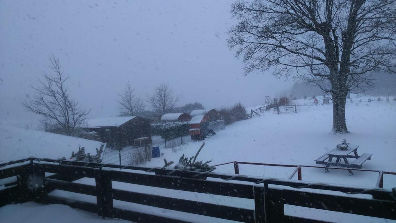 B&B All Seasons Winterberg Exteriör bild