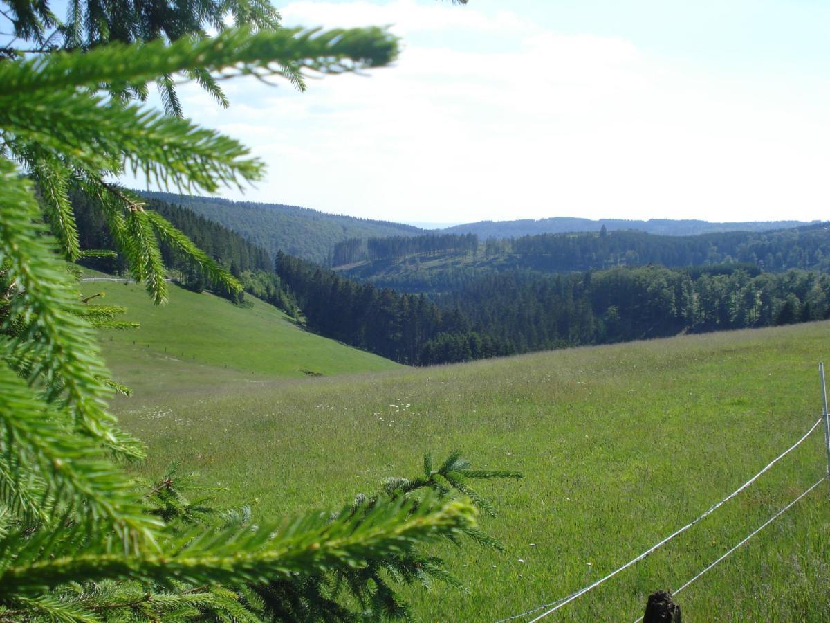 B&B All Seasons Winterberg Exteriör bild