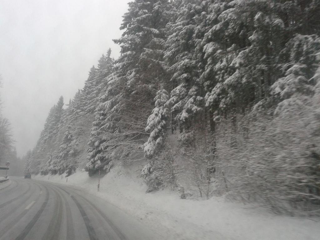 B&B All Seasons Winterberg Exteriör bild
