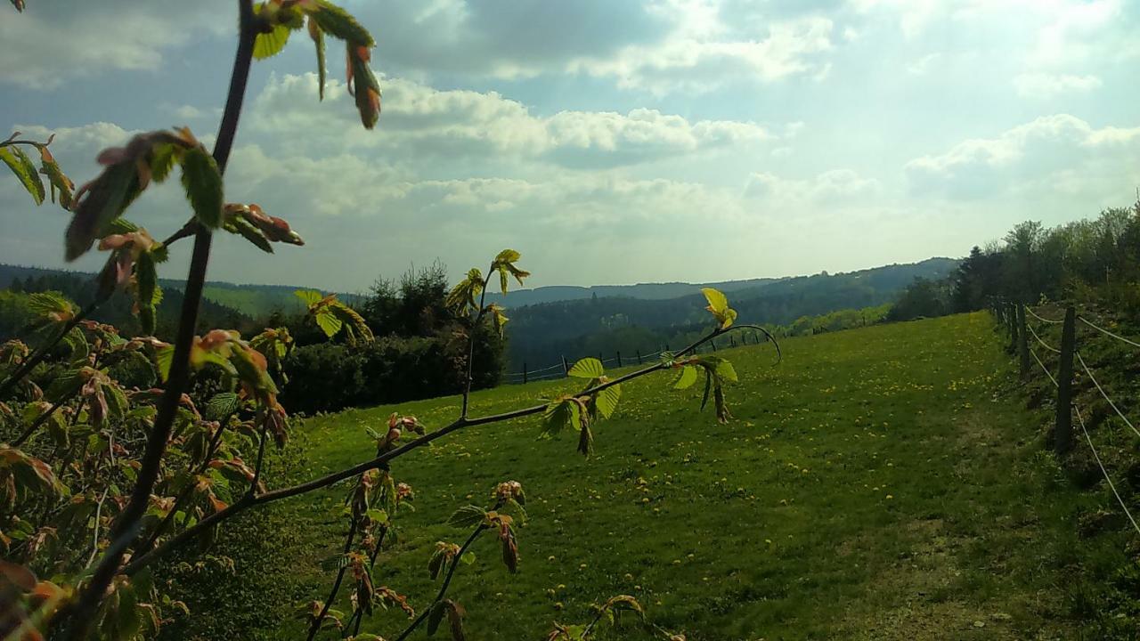 B&B All Seasons Winterberg Exteriör bild
